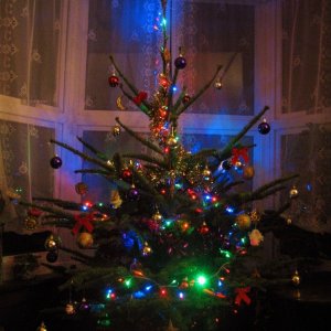 Denanmor's Tree