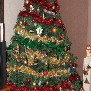 My tree