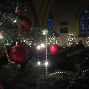 Christmas Trees