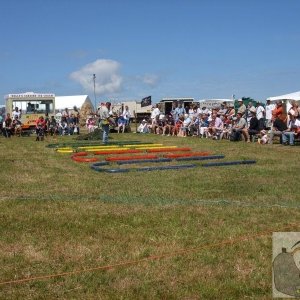 Ferret racing