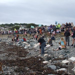The crowd