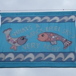 Fishy Sky