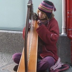 Harp