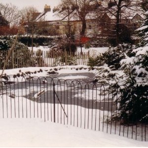 Morrab Gardens