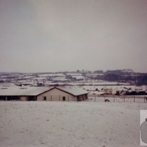 snow pic