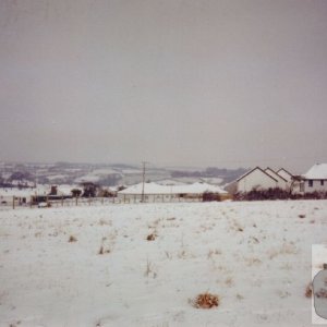 Snow pic