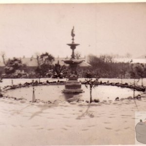 Morrab Gardens