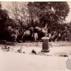 Morrab Gardens