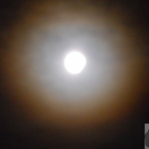 auspiscious moon