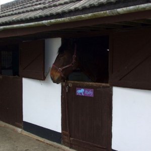 Tredavoe Village - 5April, 2010