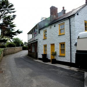 Madron