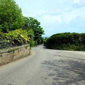 Madron