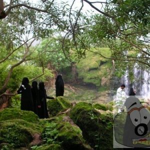 Wadi Dhabat