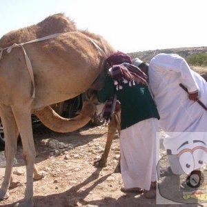 Sheik and son