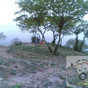 picnic