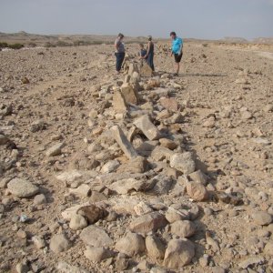 Another trip to the Wadis outside Salalah