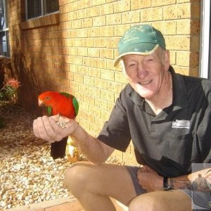 Noel feeding a King parrot