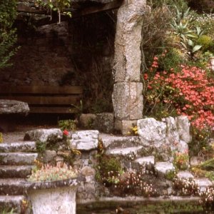 Tresco Gardens feature, Scilly