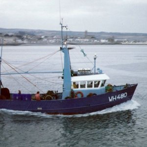 WH 480 Lia-G
