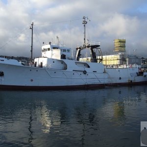 Seaking - 9