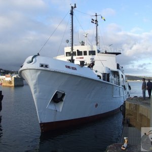 Seaking - 8
