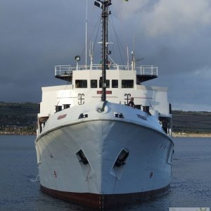 Seaking - 7