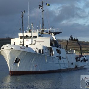 Seaking - 6