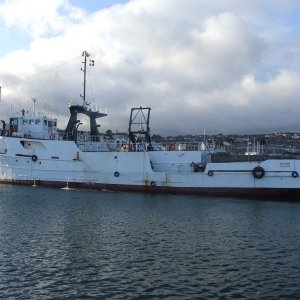 Seaking - 4