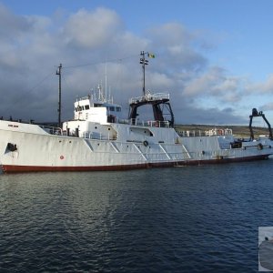 Seaking - 3