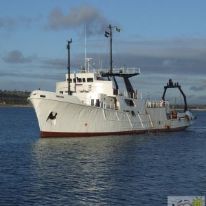 Seaking - 2