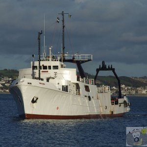 Seaking - 1