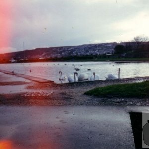 boating pool