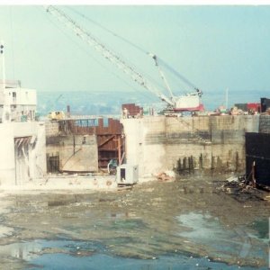 Dock gates