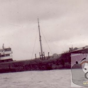 MV Kinderrence