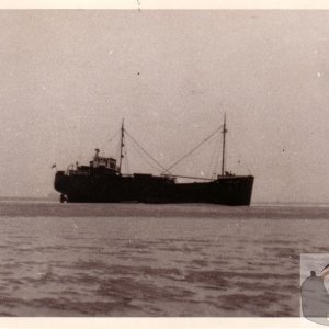 MV David M