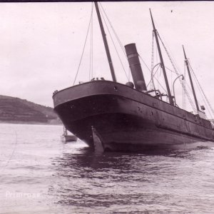 SS Primrose