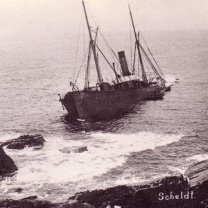 SS Schelt