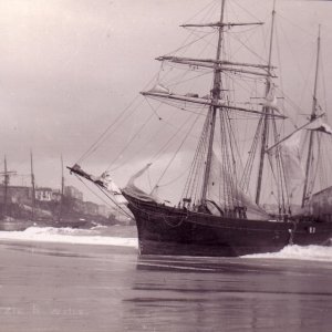 SV Lizzie R Wilce