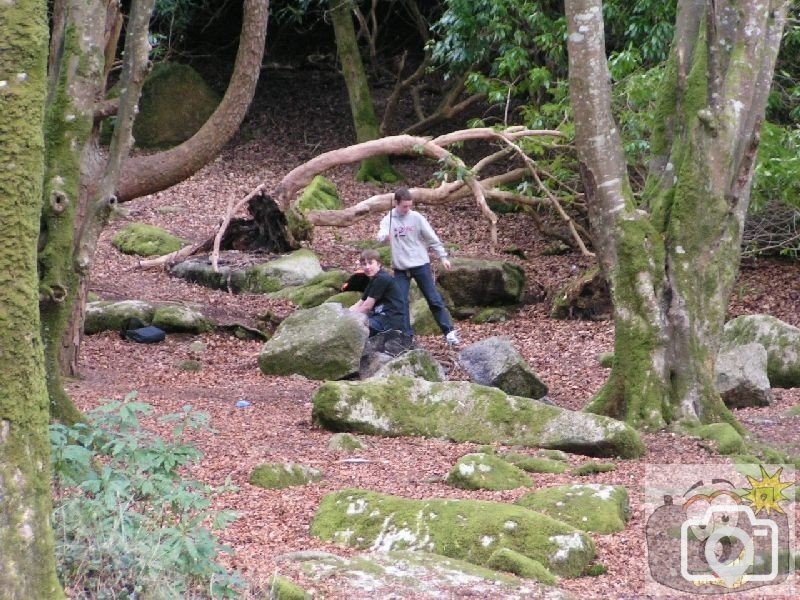 2004