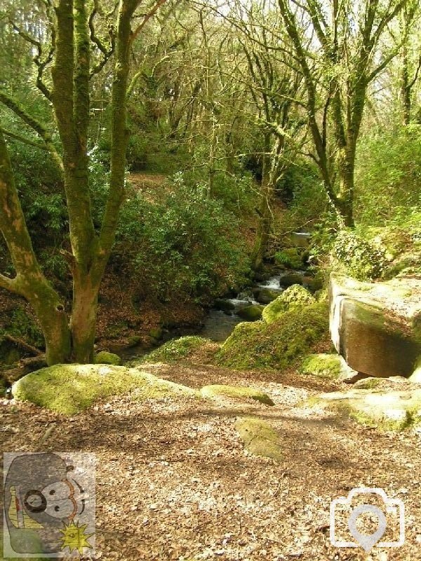 2004