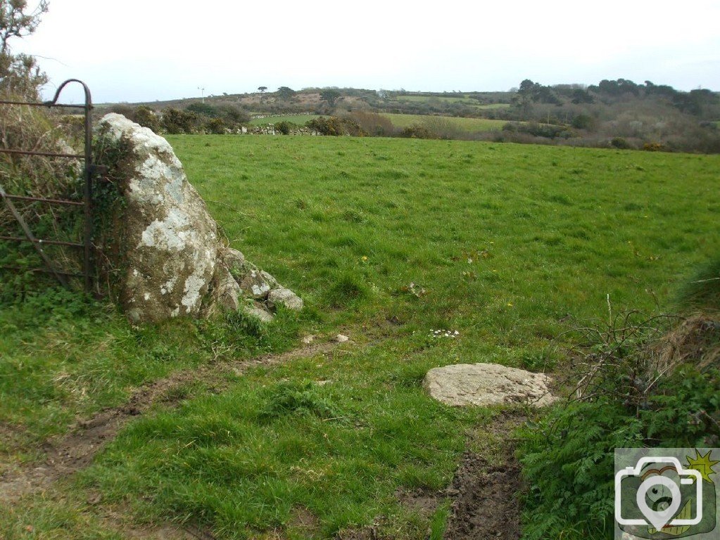 5April10 - Outlying pastures at Kerris