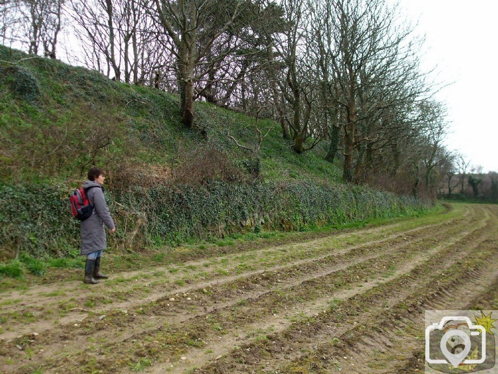 5April10 - Price's Folly near Tredavoe