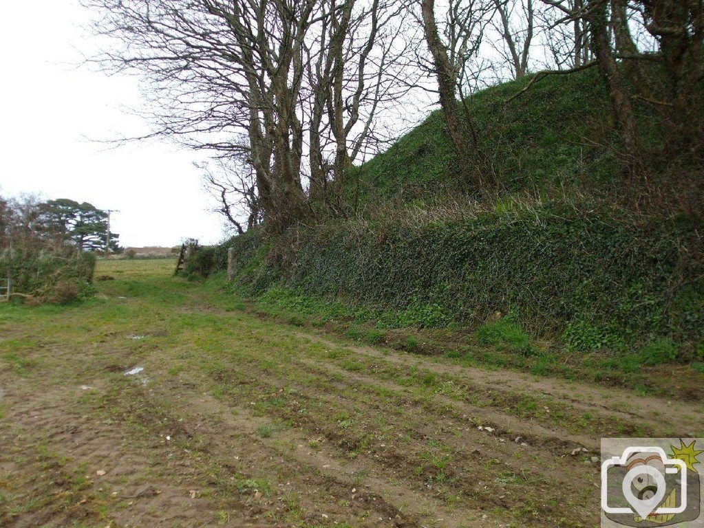 5April10 - Price's Folly near Tredavoe