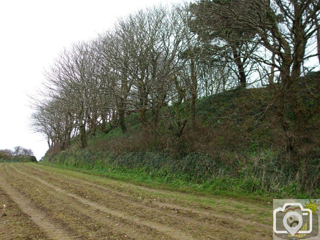5April10 - Price's Folly near Tredavoe