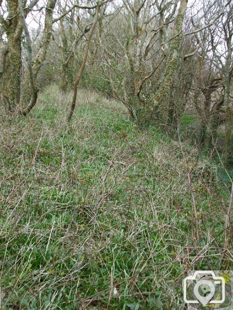5April10 - Price's Folly near Tredavoe