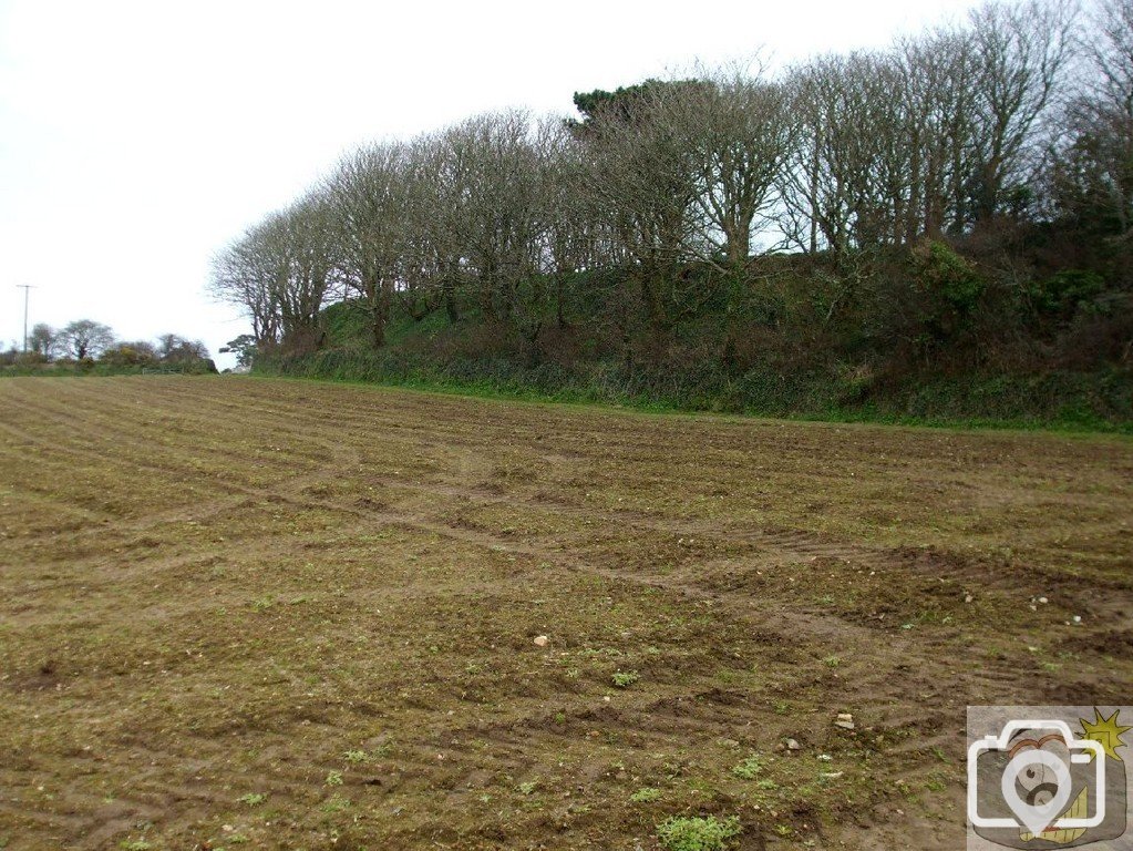 5April10 - Price's Folly near Tredavoe