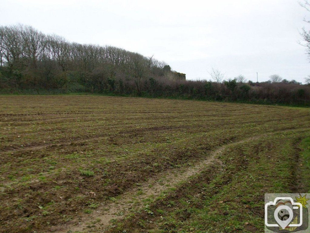 5April10 - Price's Folly near Tredavoe