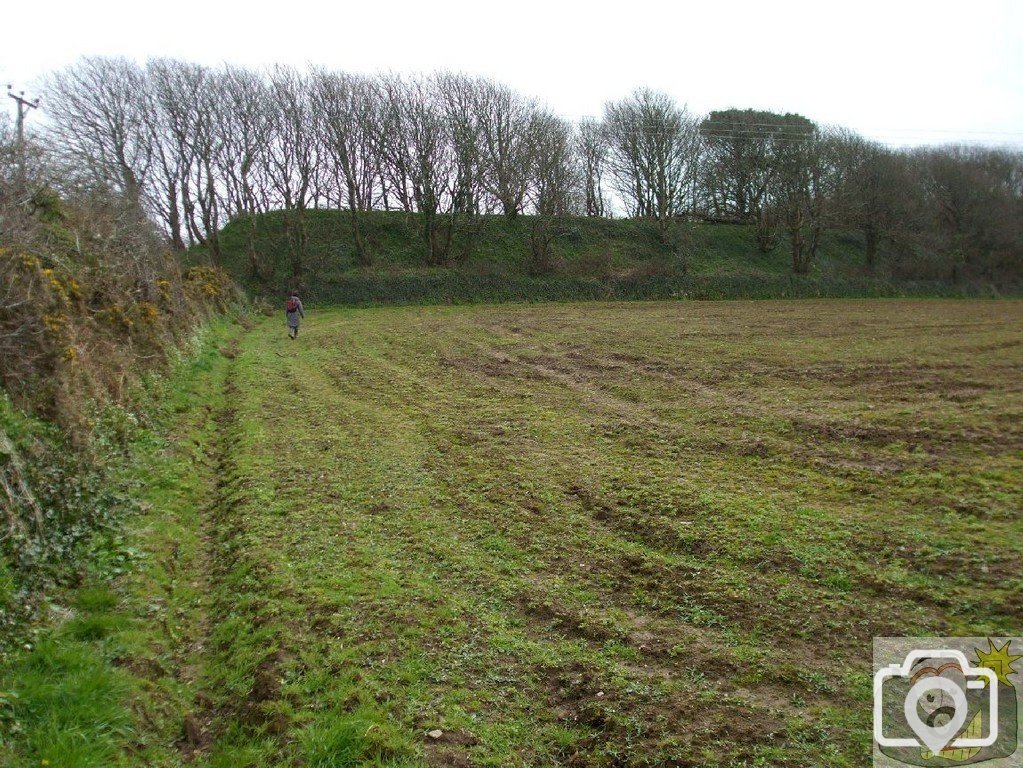 5April10 - Price's Folly near Tredavoe