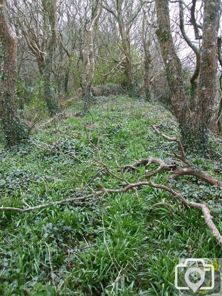 5April10 - Price's Folly near Tredavoe