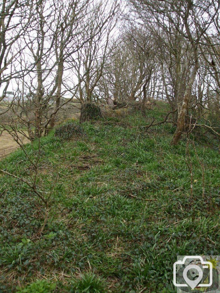 5April10 - Price's Folly near Tredavoe
